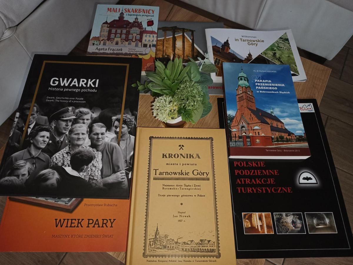Apartament Przy Kopalni Srebra Tarnowskie Góry Buitenkant foto