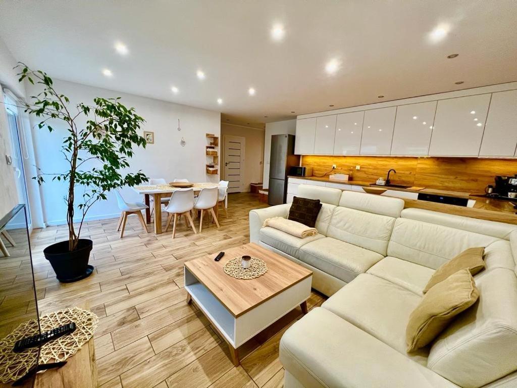 Apartament Przy Kopalni Srebra Tarnowskie Góry Buitenkant foto