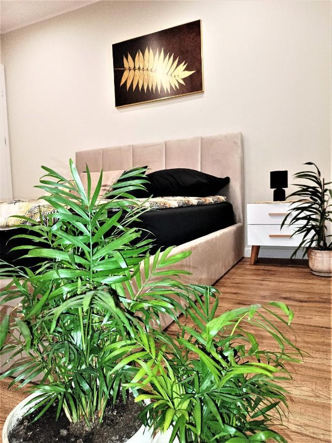 Apartament Przy Kopalni Srebra Tarnowskie Góry Buitenkant foto