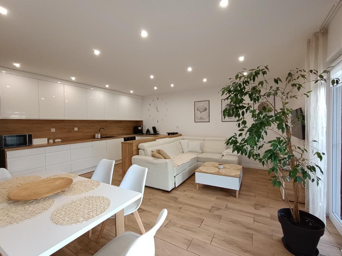 Apartament Przy Kopalni Srebra Tarnowskie Góry Buitenkant foto