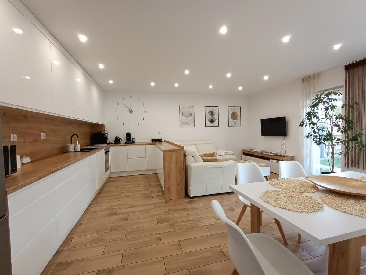 Apartament Przy Kopalni Srebra Tarnowskie Góry Buitenkant foto