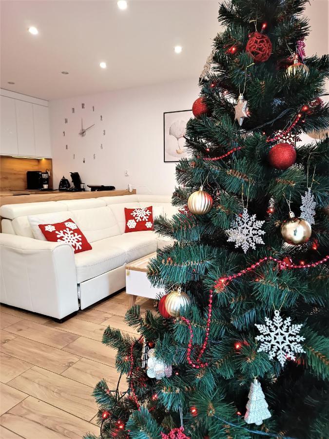 Apartament Przy Kopalni Srebra Tarnowskie Góry Buitenkant foto